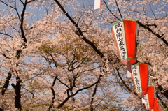 20150402上野公園