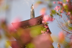 20150402浅草寺