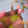 20150402浅草寺