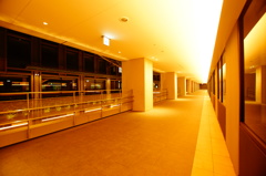 DSC01019