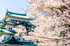 春ふわり