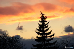 師走の夕暮れ