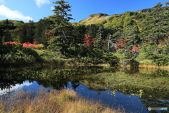 秋晴れの土俵沼