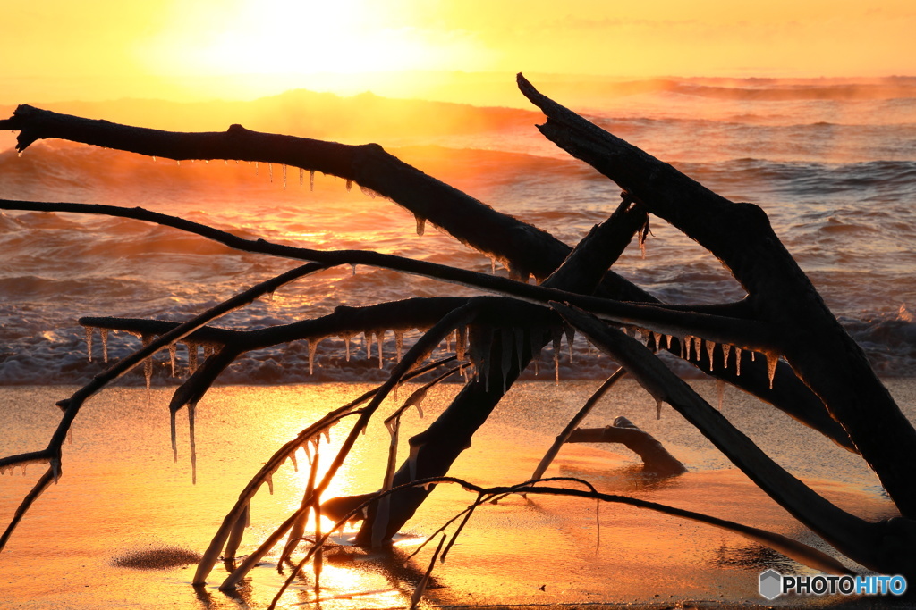 浜辺のオブジェ