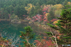 森の湖