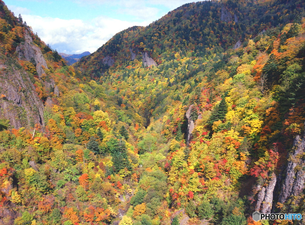 渓谷を彩る