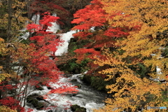 秋の渓