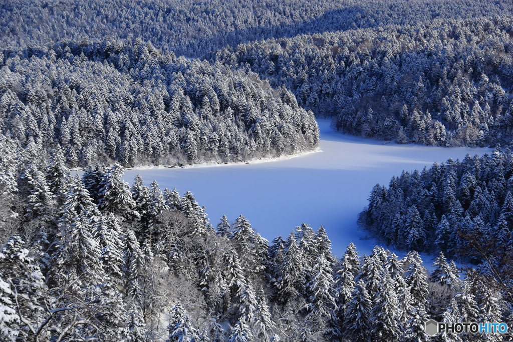 原生林と氷結湖