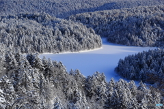 原生林と氷結湖