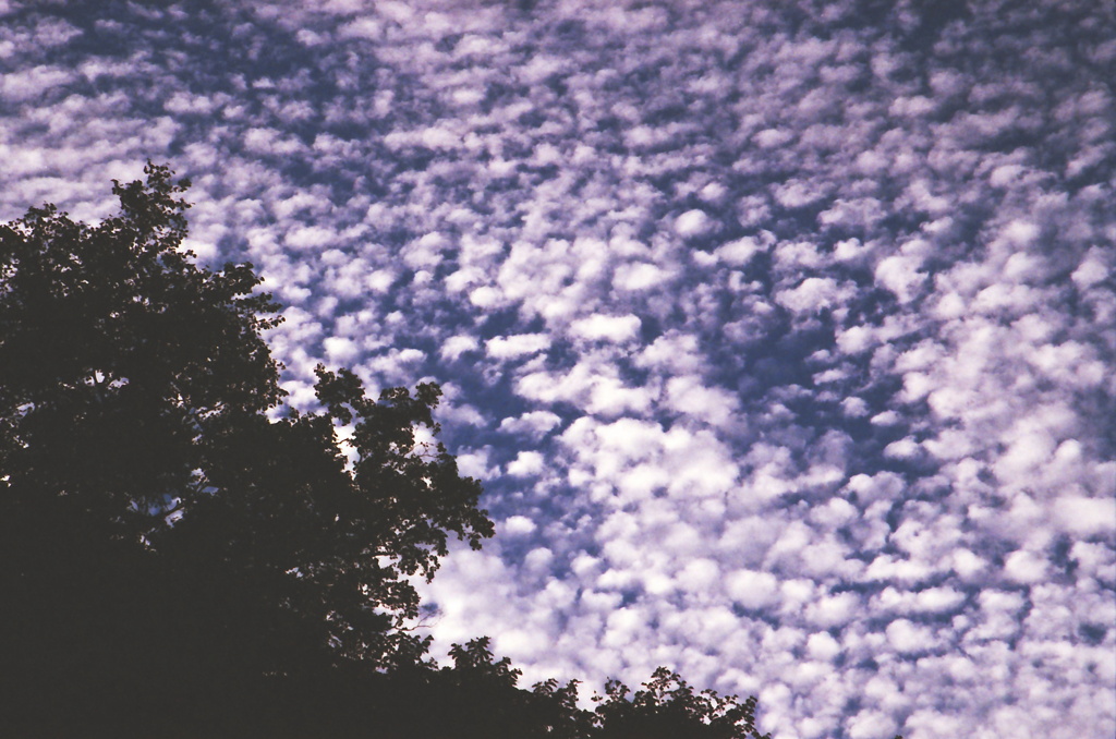 秋の空