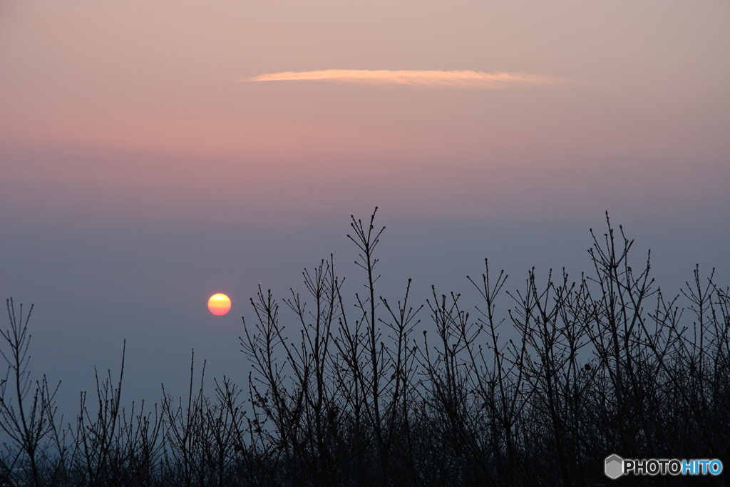 春霞 by シン君 （ID：13423188） - 写真共有サイト:PHOTOHITO