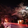 桜と光道