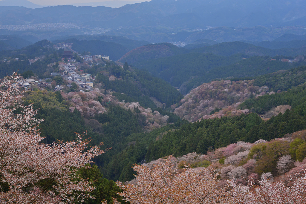 吉野山
