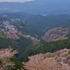 吉野山