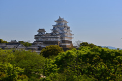 新緑の姫路城