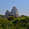 新緑の姫路城