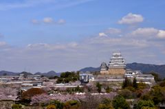 春の姫路城