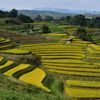 里山の棚田