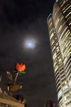 To the moon