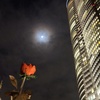 To the moon