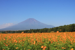 秋の始まり