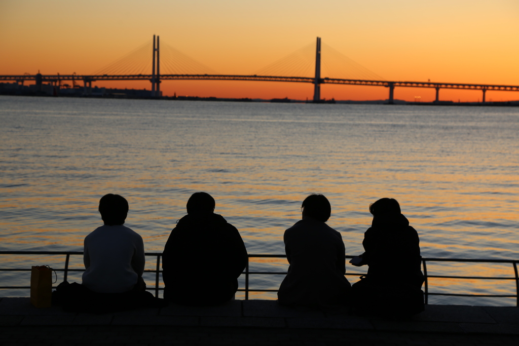 なあ。今年どーする。なにする。