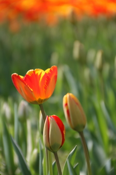 僕も負けないぞ