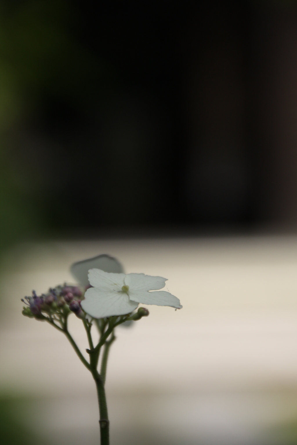 あともう少しだよ