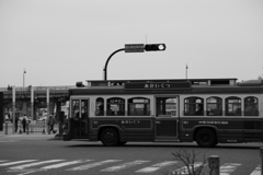 赤レンガＢＵＳ