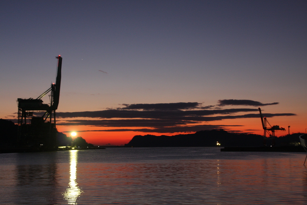 釜石湾のキリン？
