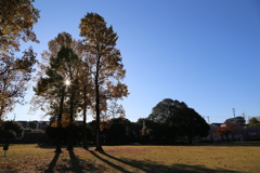 朝の散歩