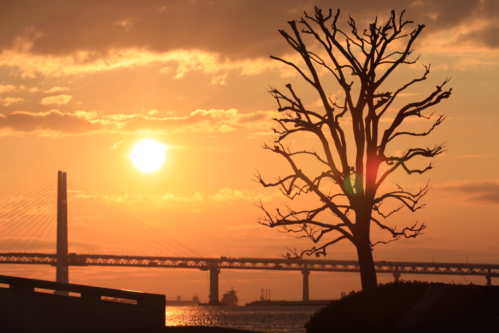 遠くに望む橋