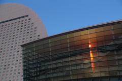 横浜、朝。 2025春 - ⑨
