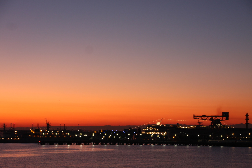 ハンマーヘッドの朝