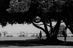 港の公園