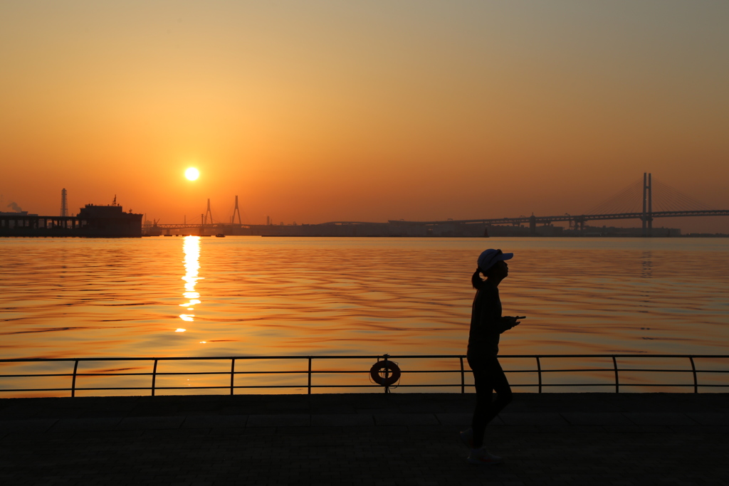 横浜、朝。 2025春 - ⑫