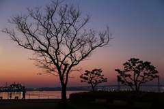 IMG_3691横浜、朝。 2025春 - ②