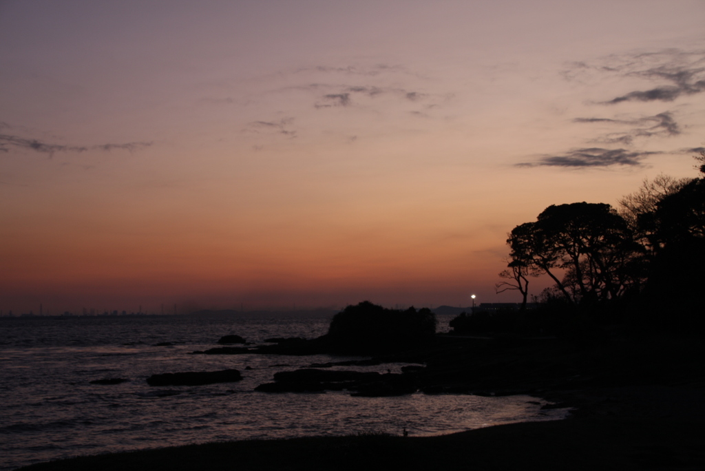 春の夜明け