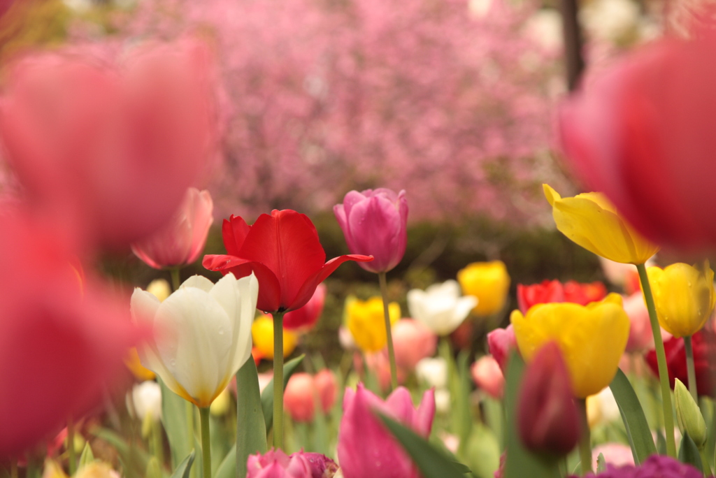 はい。君だよ。