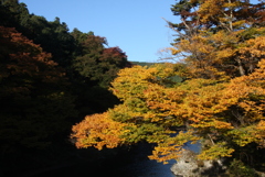 御岳渓谷の秋