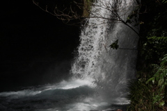 IMG_6490