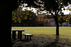 公園のベンチ。