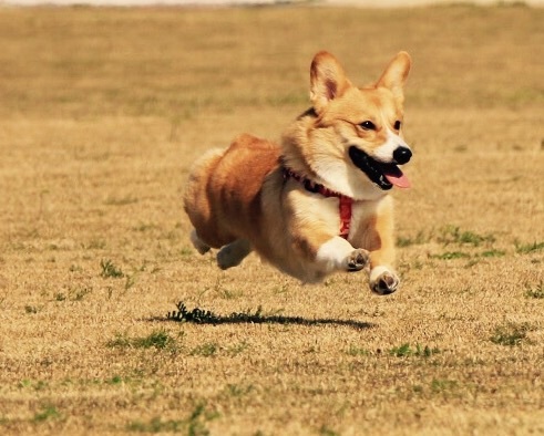 飛行中