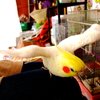 飛びます飛びます～☆