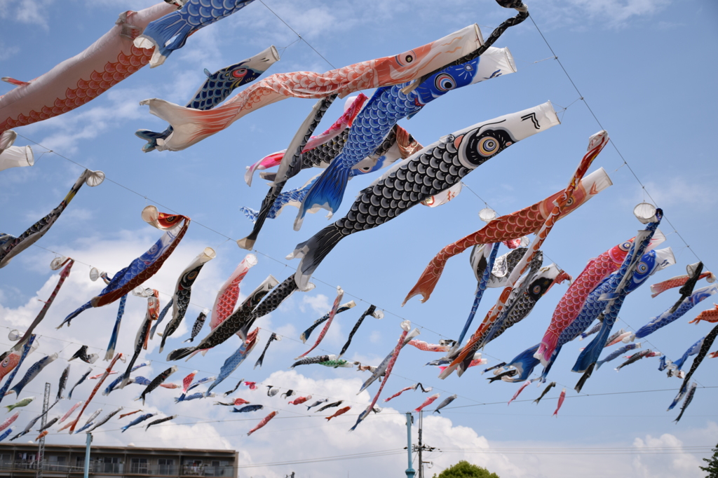 枚方鯉のぼり祭り