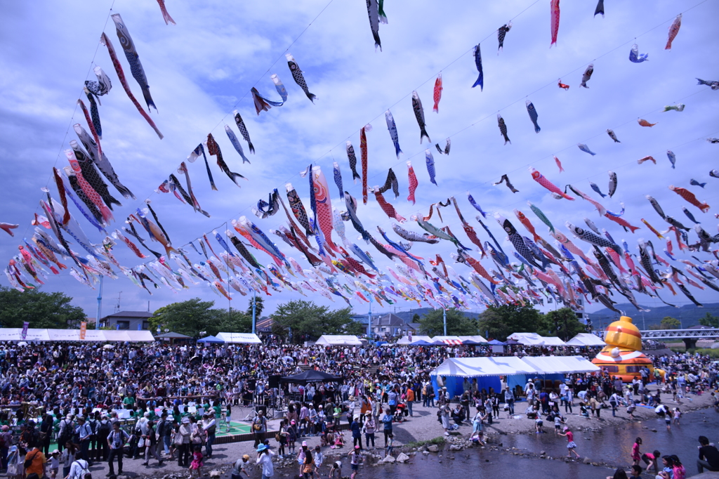枚方鯉のぼり祭り⑤