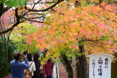 紅悦寺にて