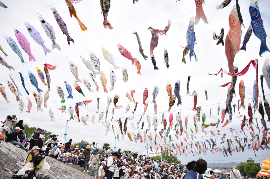 枚方鯉のぼり祭り②