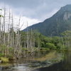 岳沢湿原