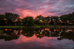 20150701-_81A5279-2